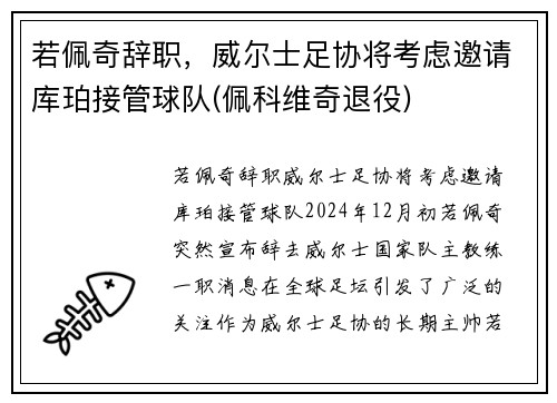 若佩奇辞职，威尔士足协将考虑邀请库珀接管球队(佩科维奇退役)