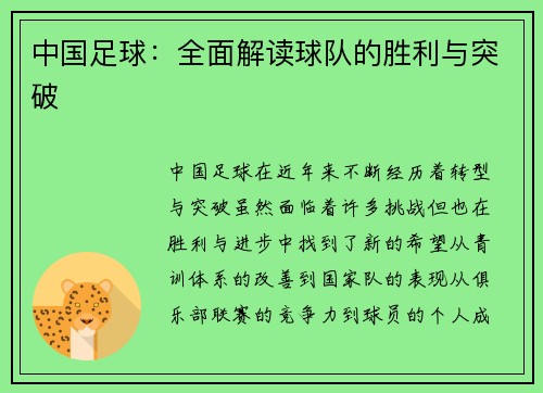 中国足球：全面解读球队的胜利与突破