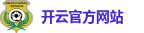 开云官方网站